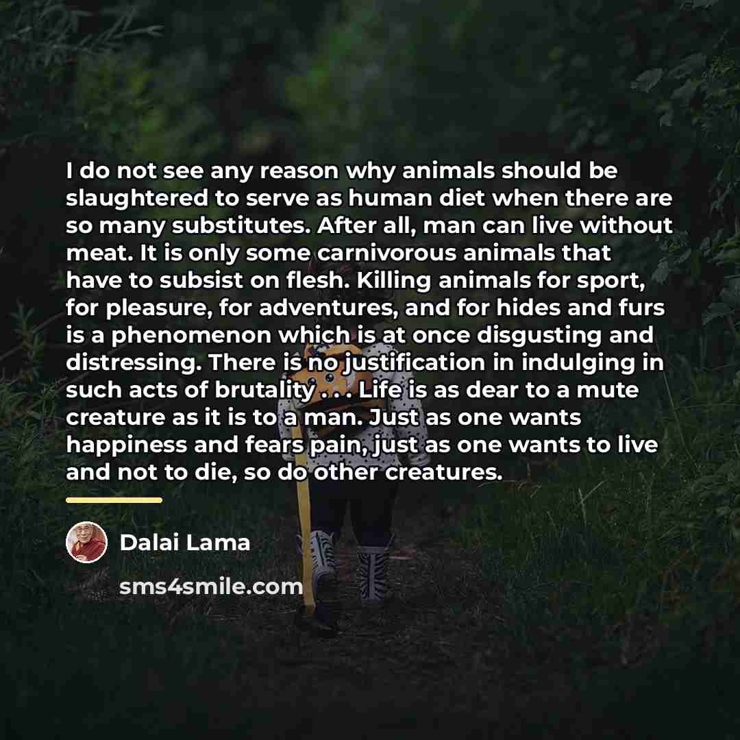 “I do not see any reason why animals should be…” quote by Dalai Lama