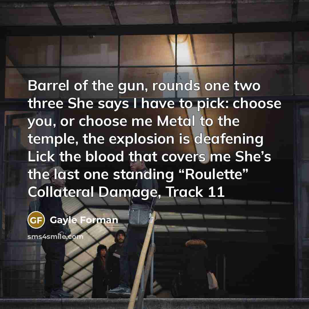 “Barrel of the gun, rounds one two three She says…” quote by Gayle Forman