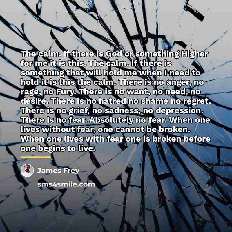 “The calm. If there is God or something Higher for…” quote by James Frey