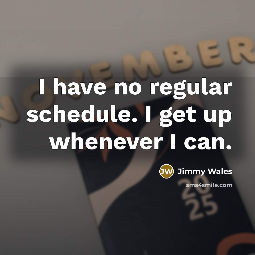 “I have no regular schedule. I get up whenever I…” quote by Jimmy Wales