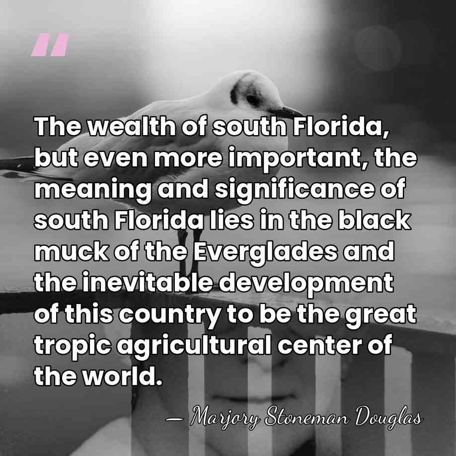 The wealth of south Florida, but even more important, the meaning and&hellip; - Marjory Stoneman Douglas