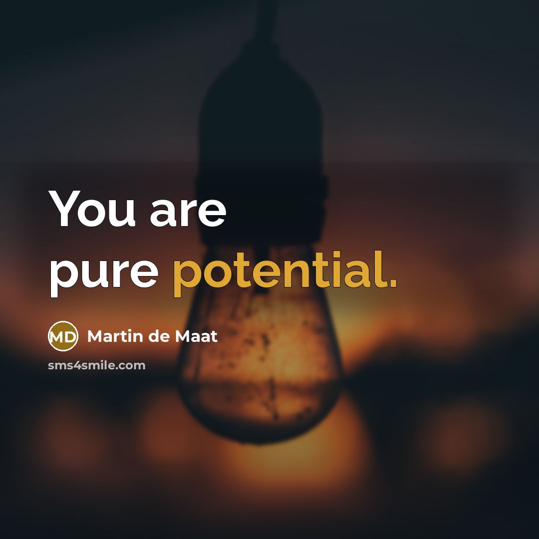 “You are pure potential.” quote by Martin de Maat