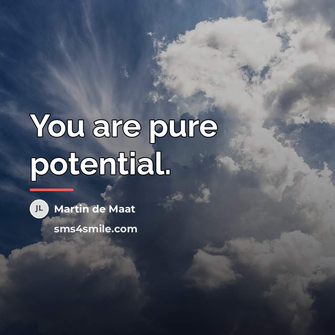 “You are pure potential.…” quote by Martin de Maat