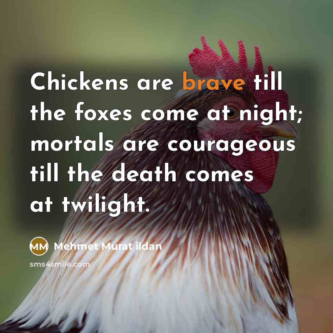 “Chickens are brave till the foxes come at night; mortals…” quote by Mehmet Murat Ildan