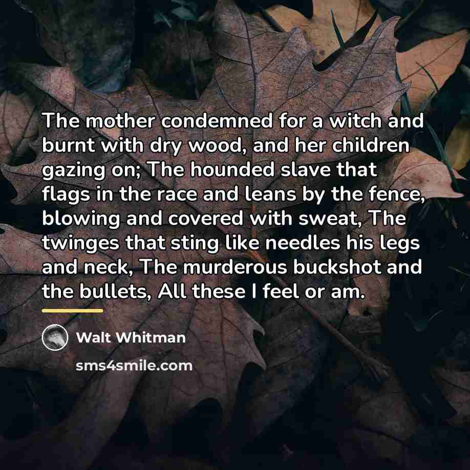 “The mother condemned for a witch and burnt with dry…” quote by Walt Whitman