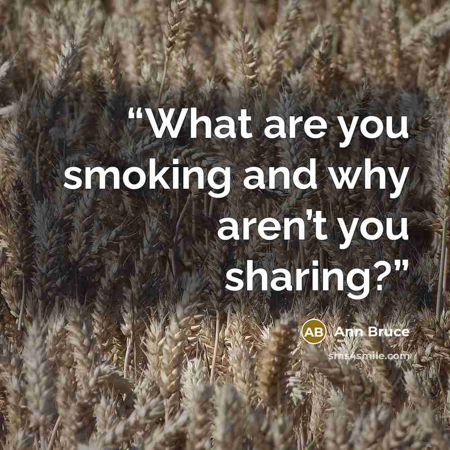 “What are you smoking and why aren’t you sharing?” quote by Ann Bruce