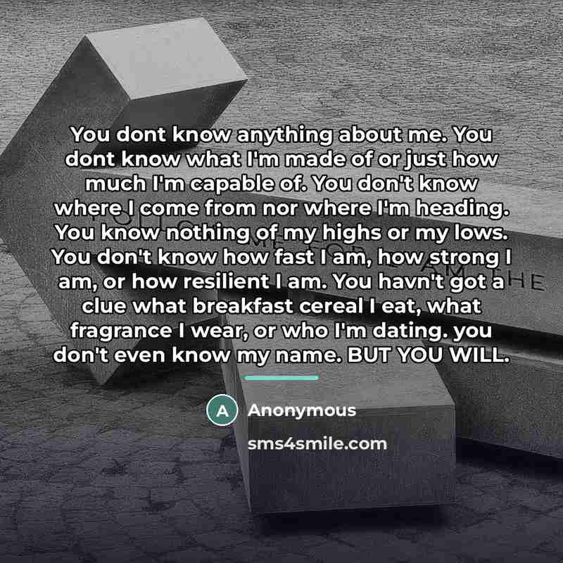 “You dont know anything about me. You dont know what…” quote by Anonymous