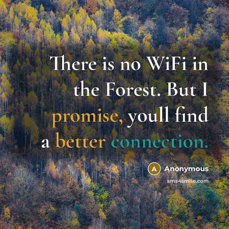 “There is no WiFi in the Forest. But I promise, youll find a better connection.” quote by Anonymous