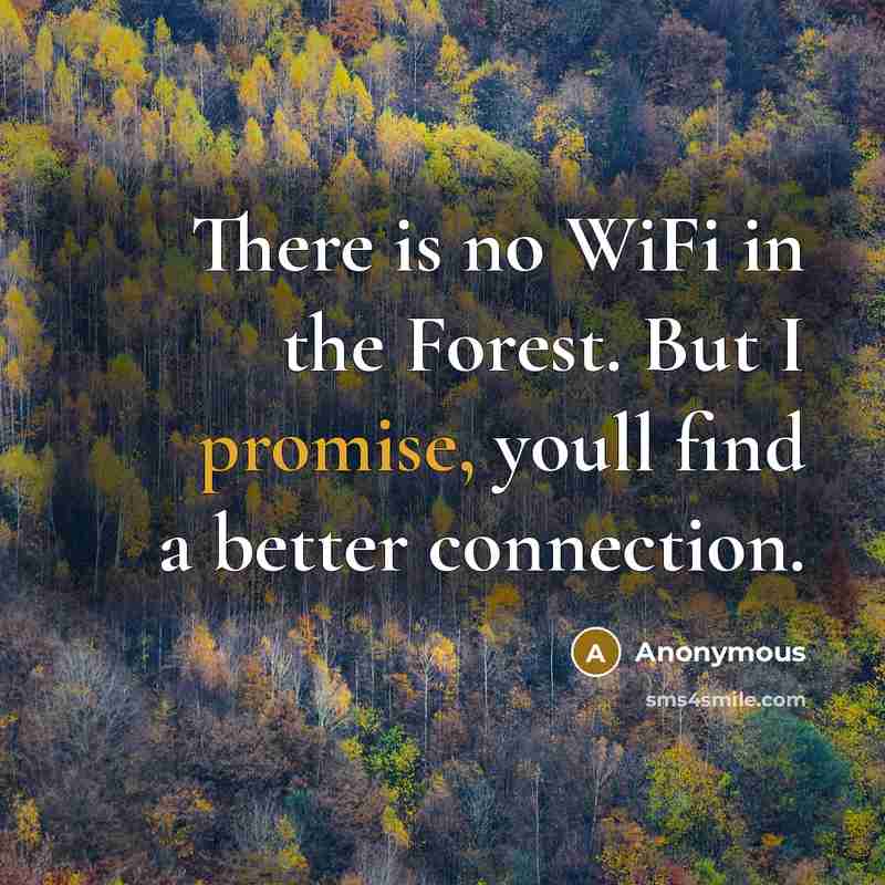 “There is no WiFi in the Forest. But I promise,…” quote by Anonymous