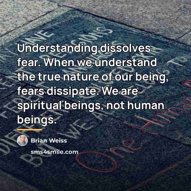 “Understanding dissolves fear. When we understand the true nature of…” quote by Brian Weiss