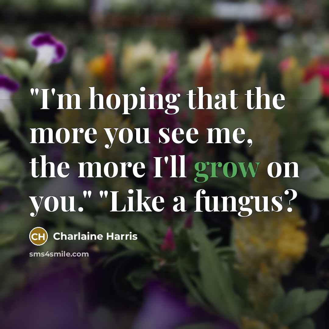 “"I'm hoping that the more you see me, the more…” quote by Charlaine Harris