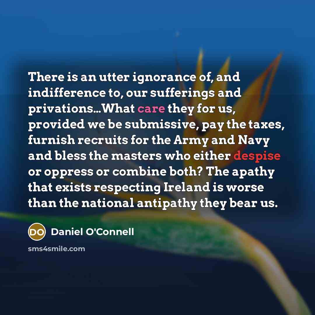 “There is an utter ignorance of, and indifference to, our…” quote by Daniel O'Connell