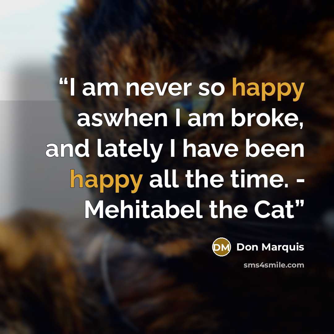 “I am never so happy aswhen I am broke, and lately I have been happy all the time. - Mehitabel the Cat” quote by Don Marquis