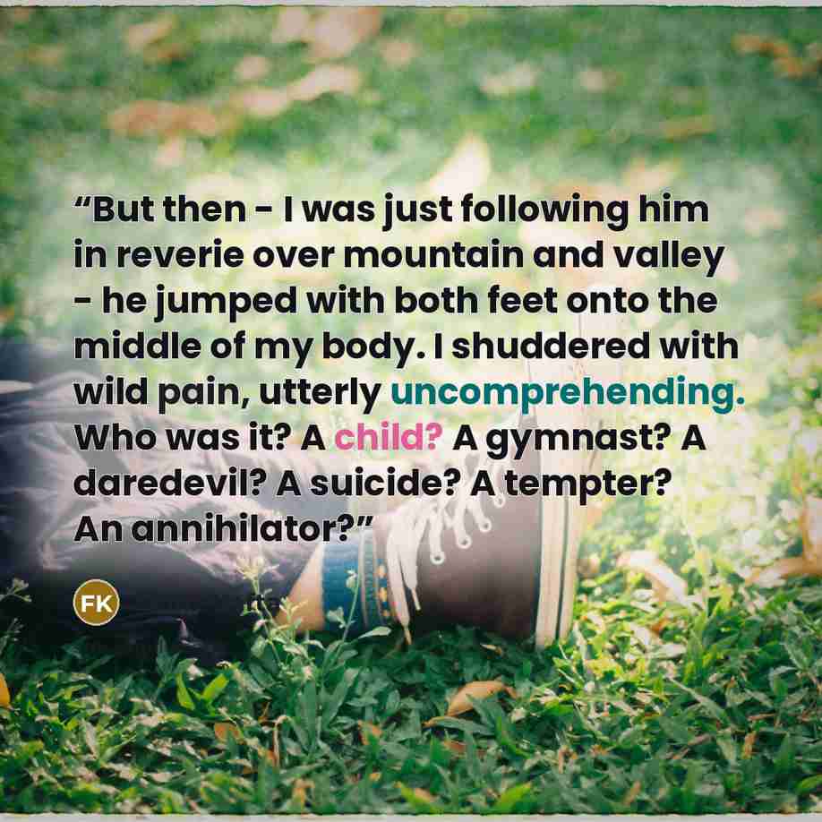 “But then - I was just following him in reverie over mountain and valley - he jumped with both feet onto the middle of my body. I shuddered with wild pain, utterly uncomprehending. Who was it? A child? A gymnast? A daredevil? A suicide? A tempter? An annihilator?” quote by Franz Kafta