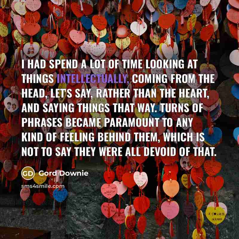 “I had spend a lot of time looking at things…” quote by Gord Downie