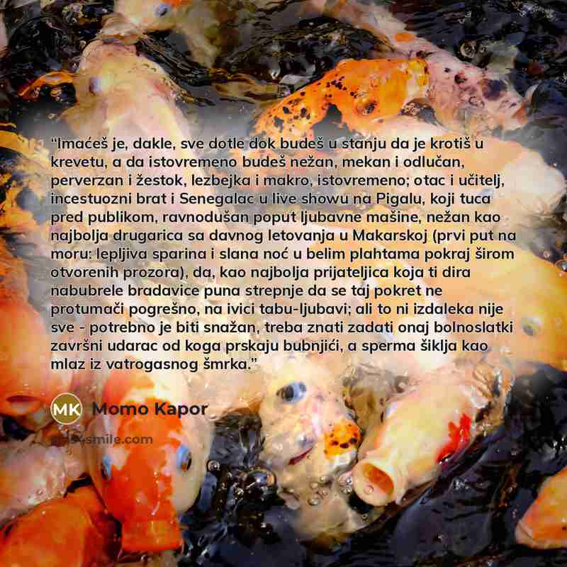 “Imaćeš je, dakle, sve dotle dok budeš u stanju da je krotiš u krevetu, a da istovremeno budeš nežan, mekan i odlučan, perverzan i žestok, lezbejka i makro, istovremeno; otac i učitelj, incestuozni brat i Senegalac u live showu na Pigalu, koji tuca pred publikom, ravnodušan poput ljubavne mašine…” quote by Momo Kapor
