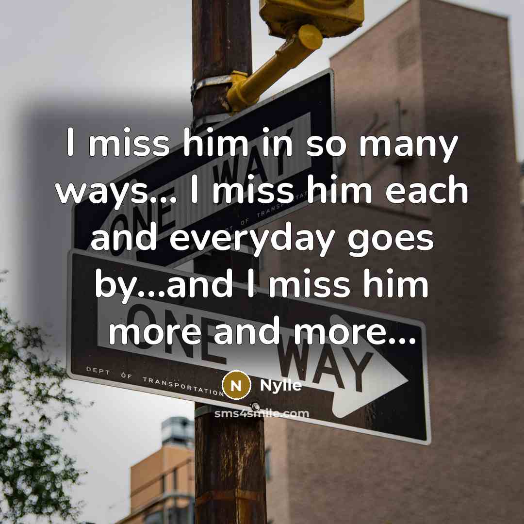 “I miss him in so many ways... I miss him…” quote by Nylle