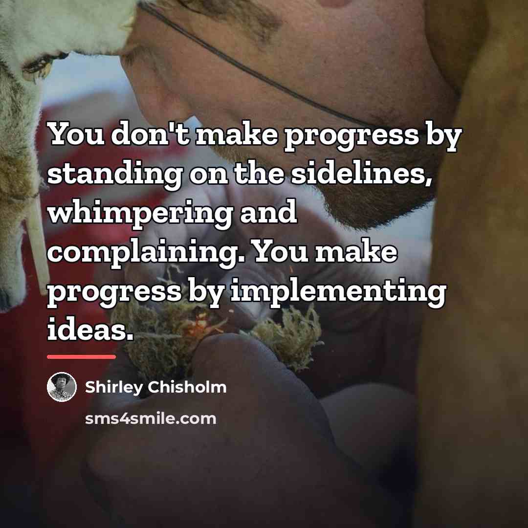 “You don't make progress by standing on the sidelines, whimpering…” quote by Shirley Chisholm