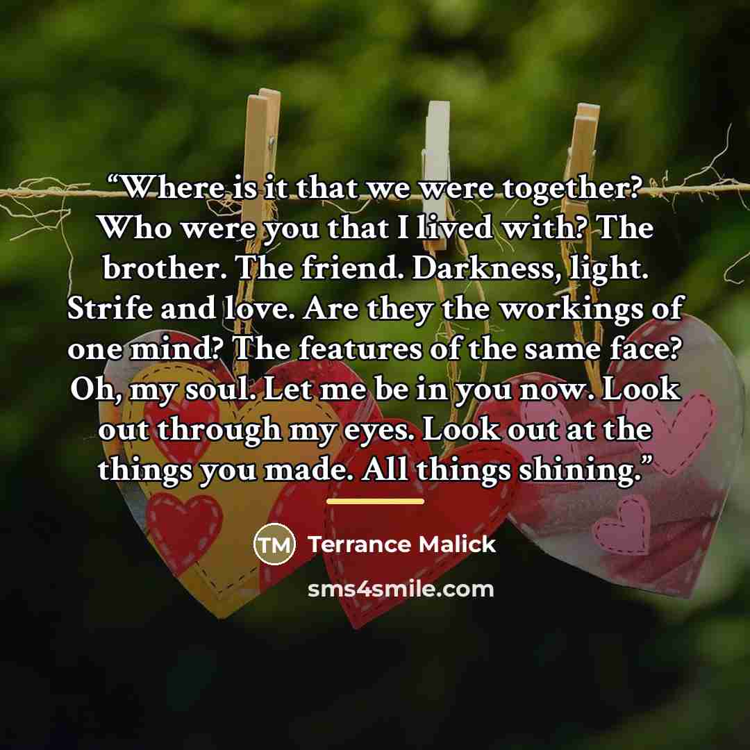 “Where is it that we were together? Who were you that I lived with? The brother. The friend. Darkness, light. Strife and love. Are they the workings of one mind? The features of the same face? Oh, my soul. Let me be in you now. Look out through my eyes. Look out at the things you made. All things…” quote by Anonymous