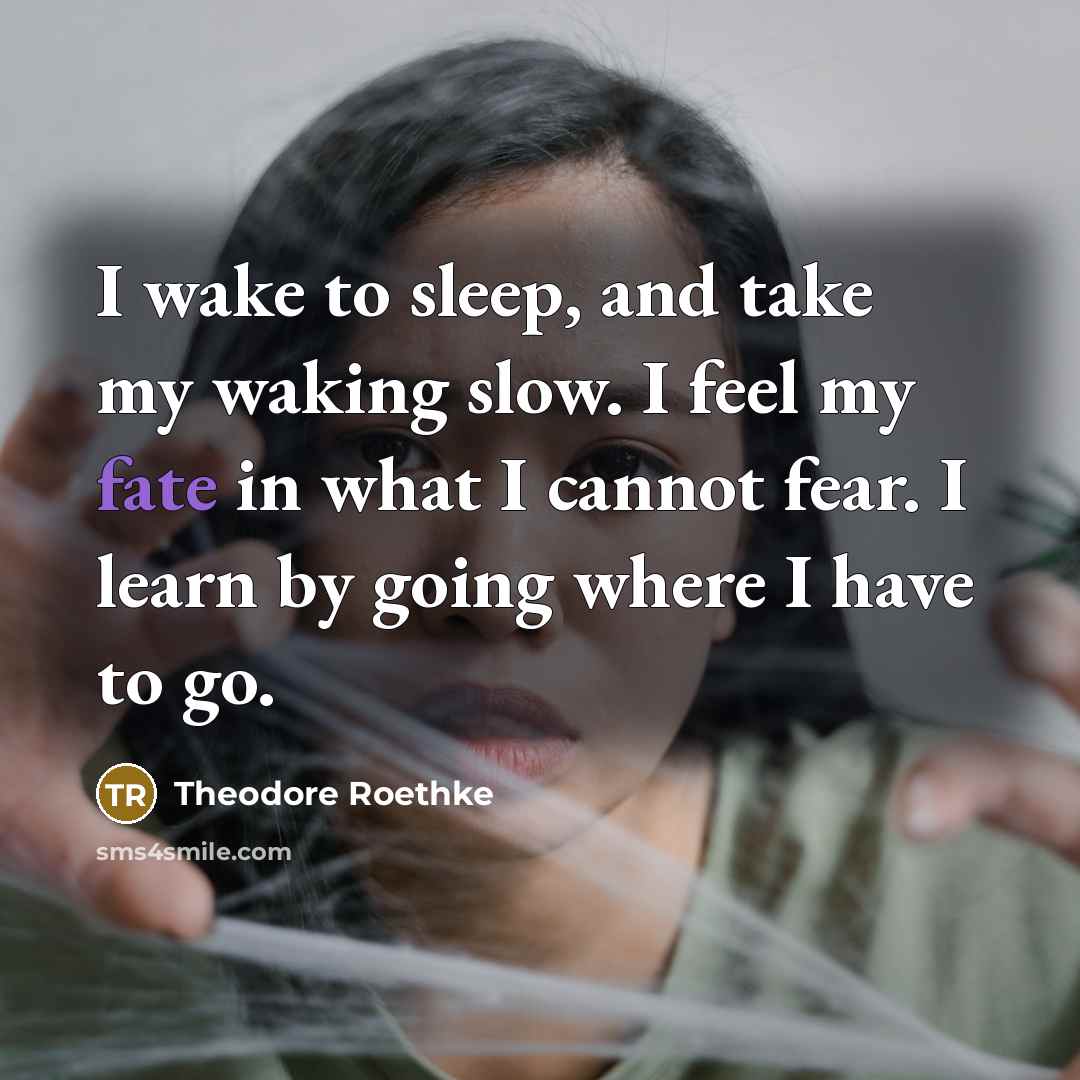 “I wake to sleep, and take my waking slow. I…” quote by Theodore Roethke