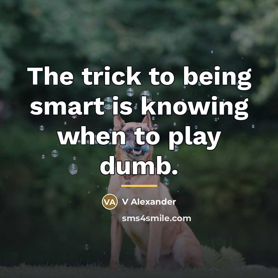 “The trick to being smart is knowing when to play…” quote by Anonymous