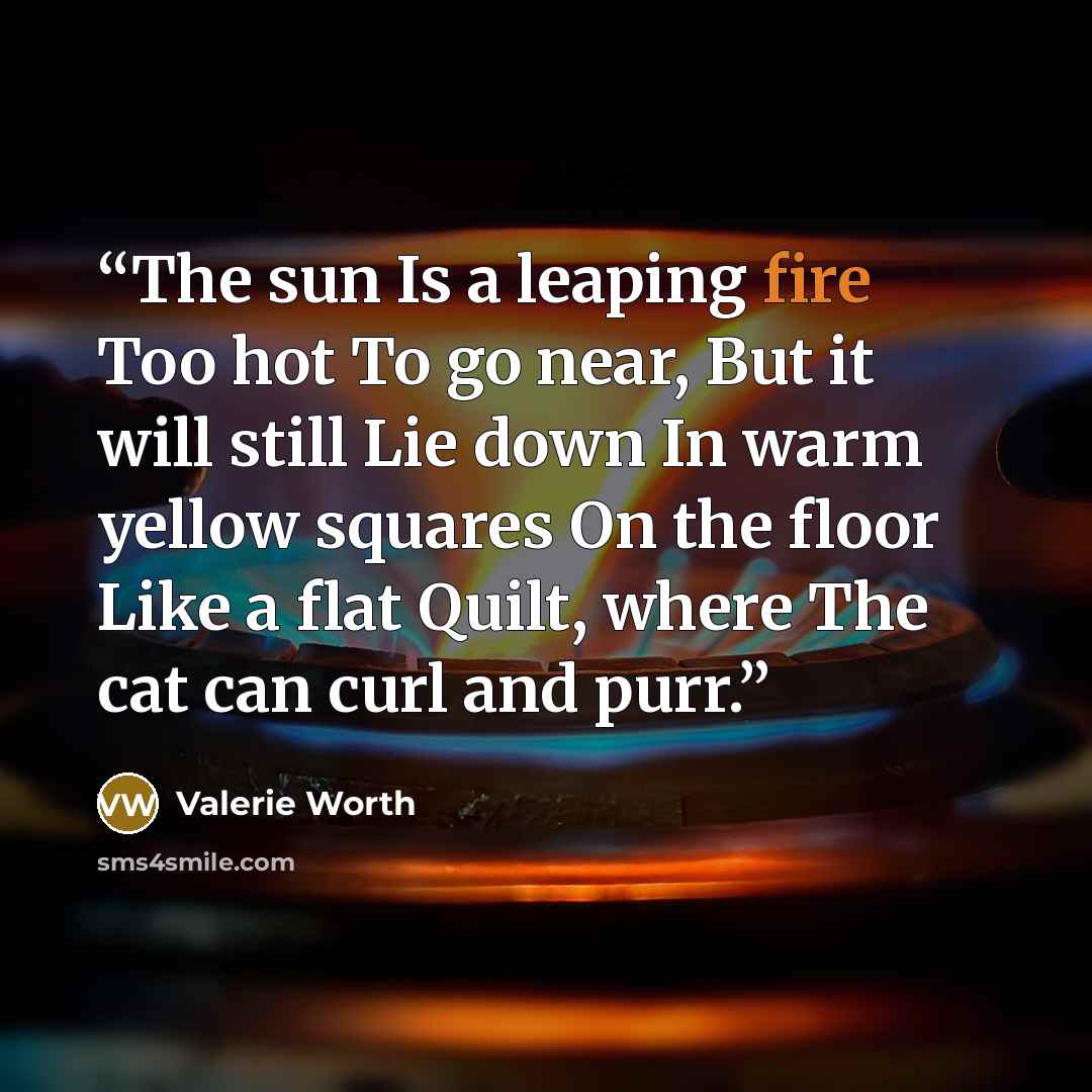 “The sun Is a leaping fire Too hot To go near, But it will still Lie down In warm yellow squares On the floor Like a flat Quilt, where The cat can curl and purr.” quote by Valerie Worth