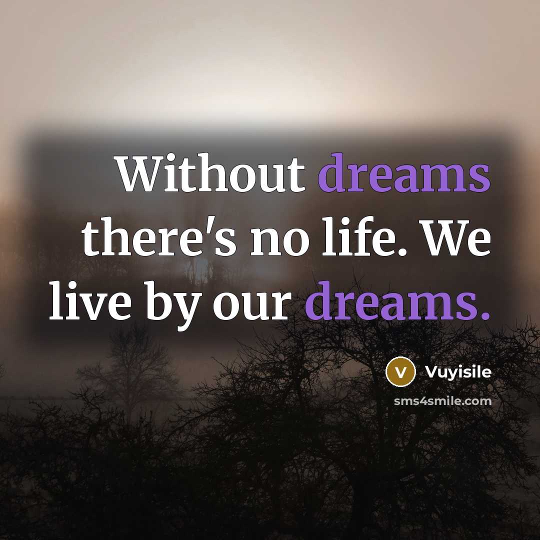 “Without dreams there's no life. We live by our dreams.…” quote by Vuyisile
