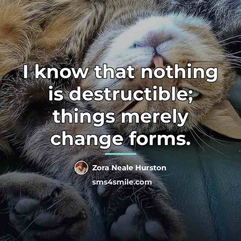 “I know that nothing is destructible; things merely change forms.…” quote by Zora Neale Hurston
