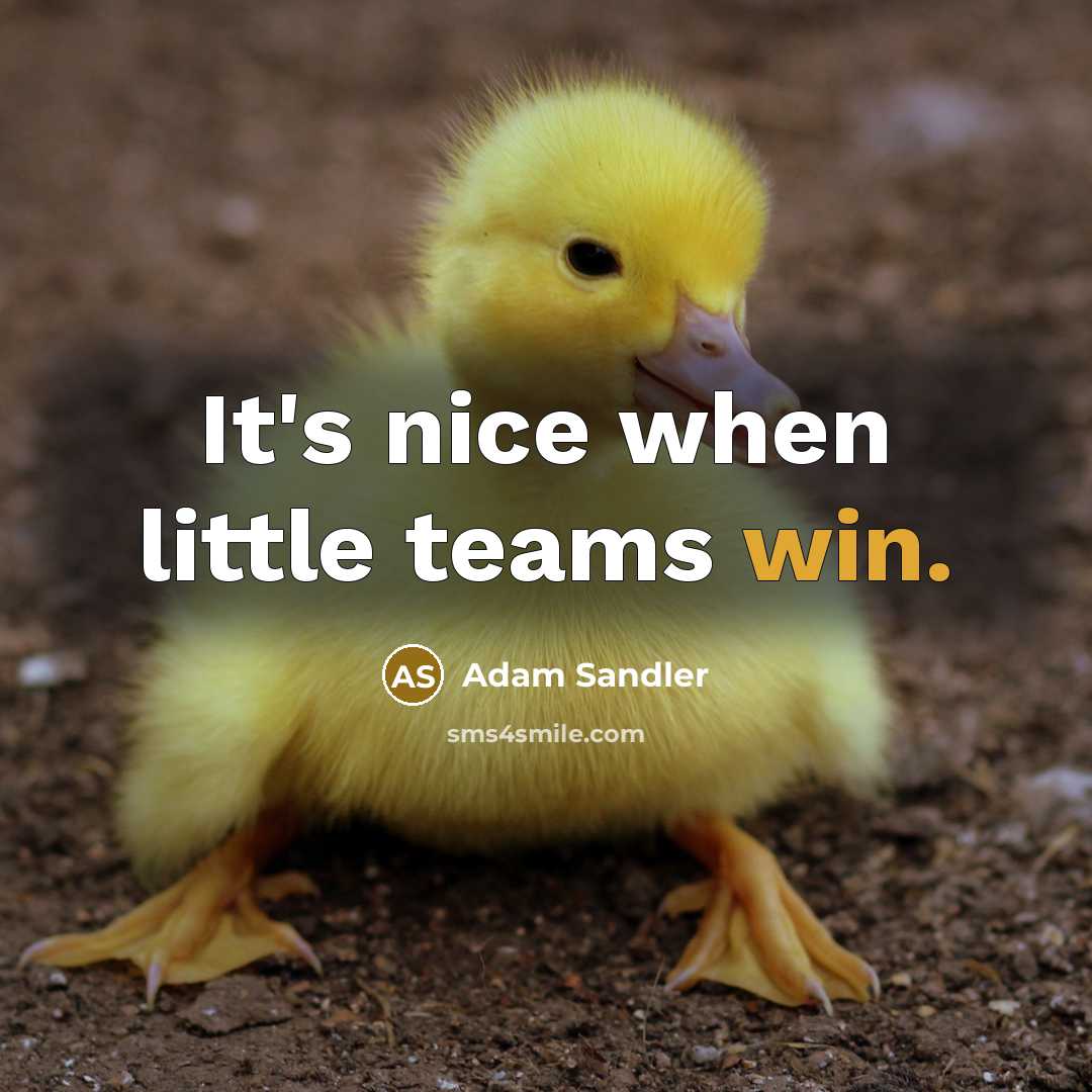 “It's nice when little teams win.” quote by Adam Sandler