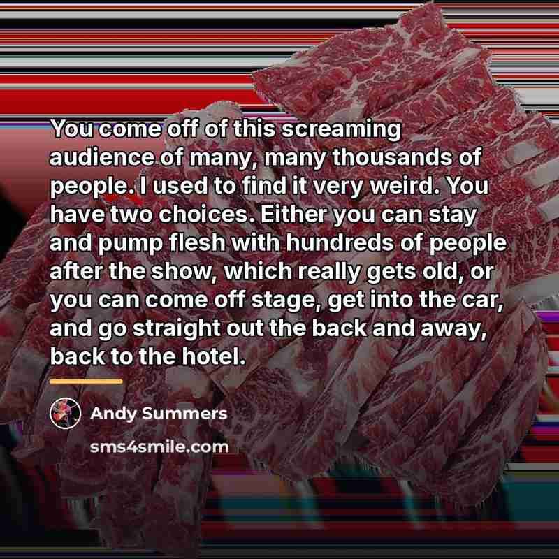 “You come off of this screaming audience of many, many…” quote by Andy Summers