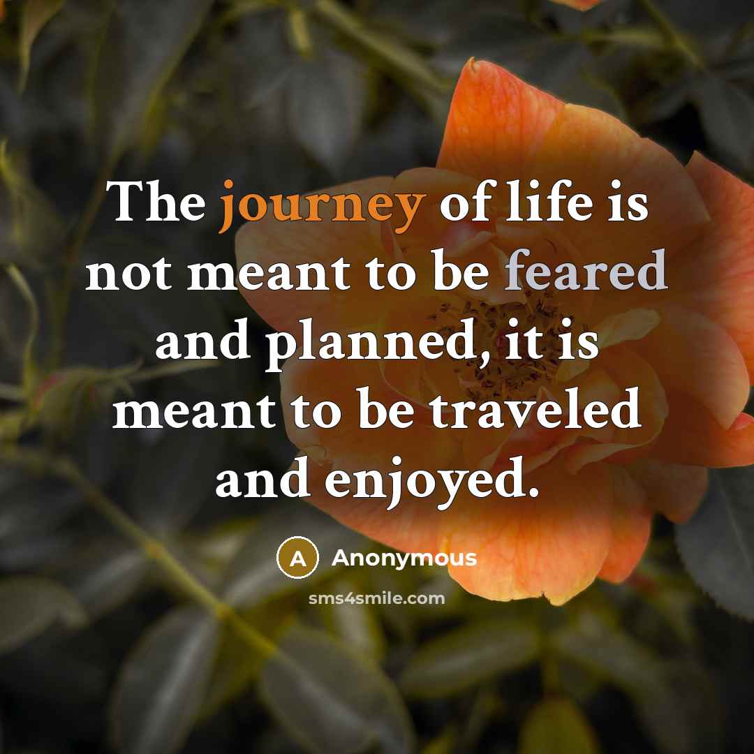 “The journey of life is not meant to be feared…” quote by Anonymous