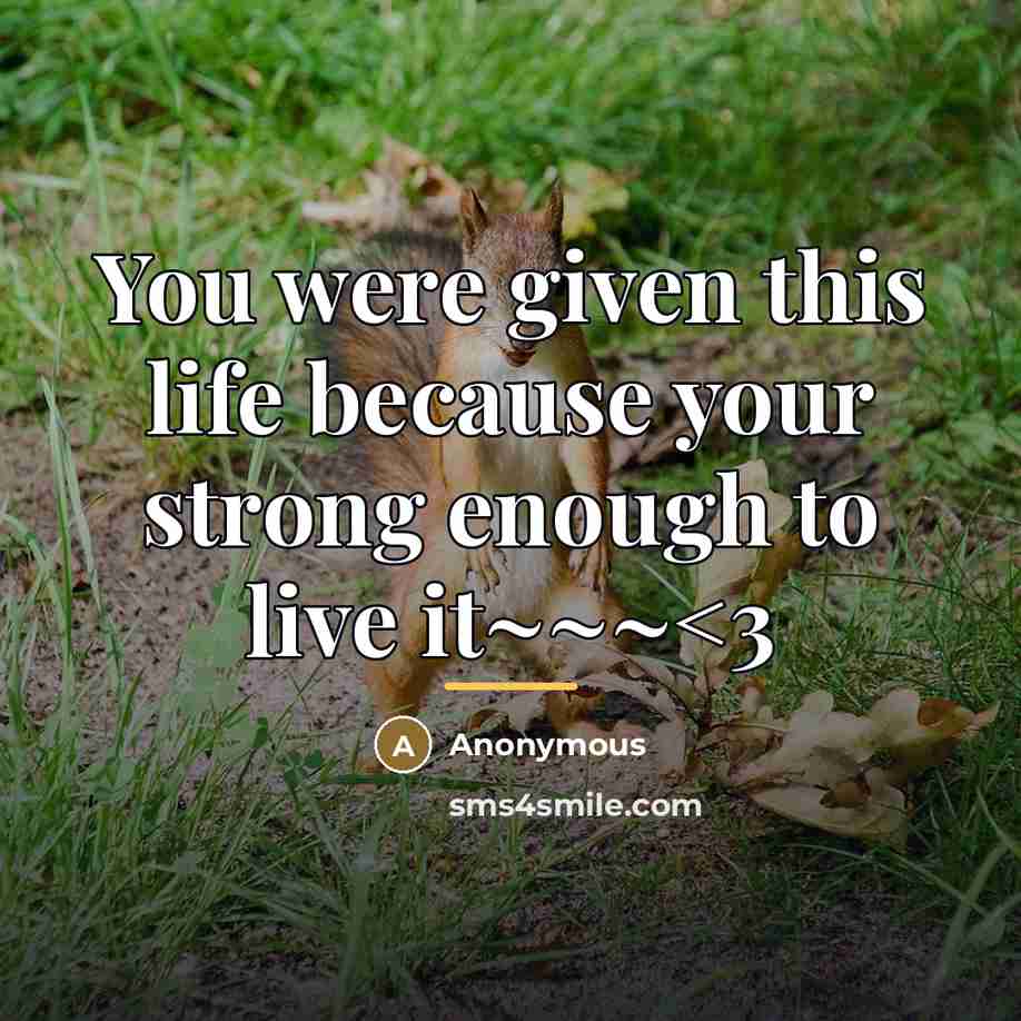 “You were given this life because your strong enough to…” quote by Anonymous