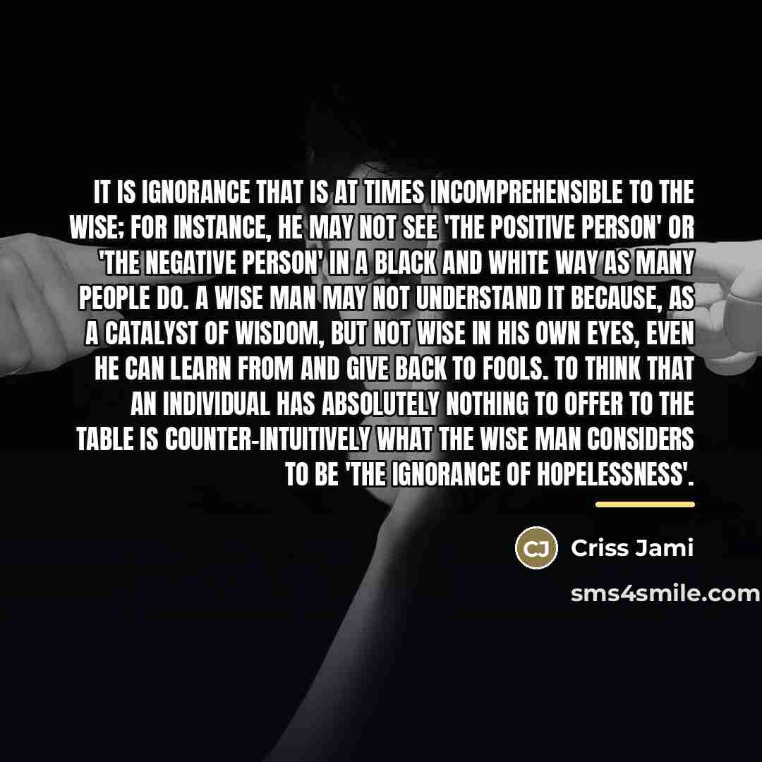 “It is ignorance that is at times incomprehensible to the…” quote by Criss Jami
