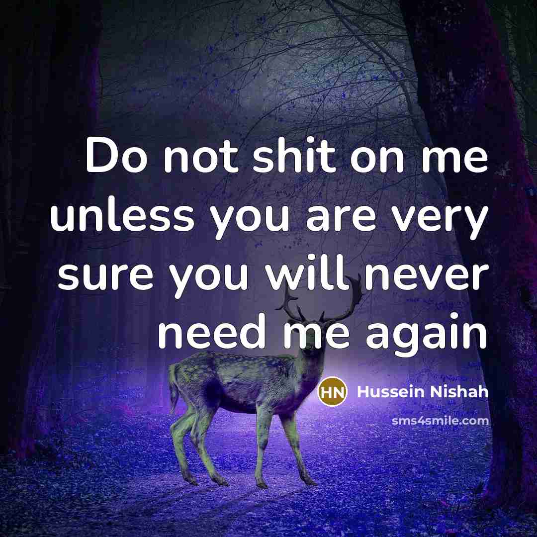 “Do not shit on me unless you are very sure…” quote by Hussein Nishah