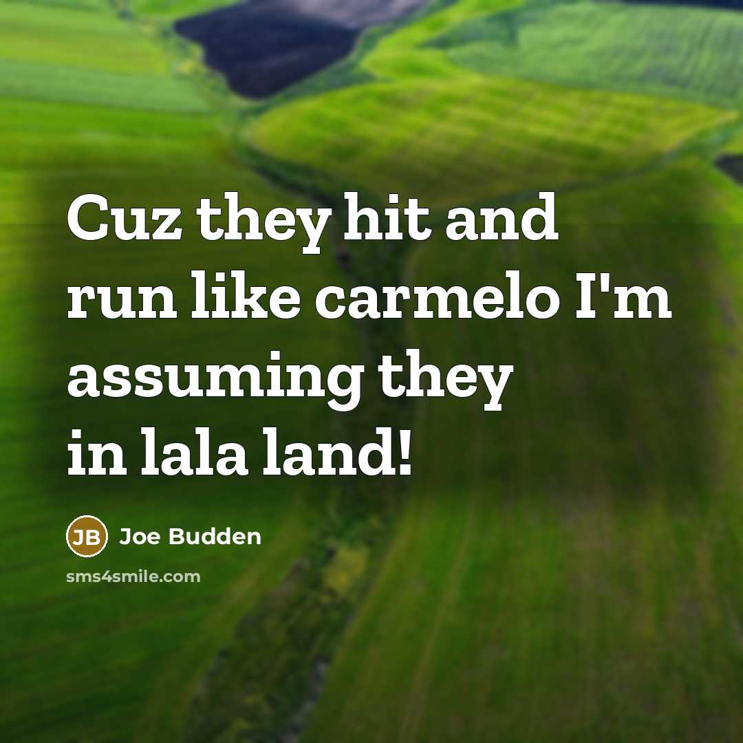 “Cuz they hit and run like carmelo I'm assuming they in lala land!” quote by Joe Budden