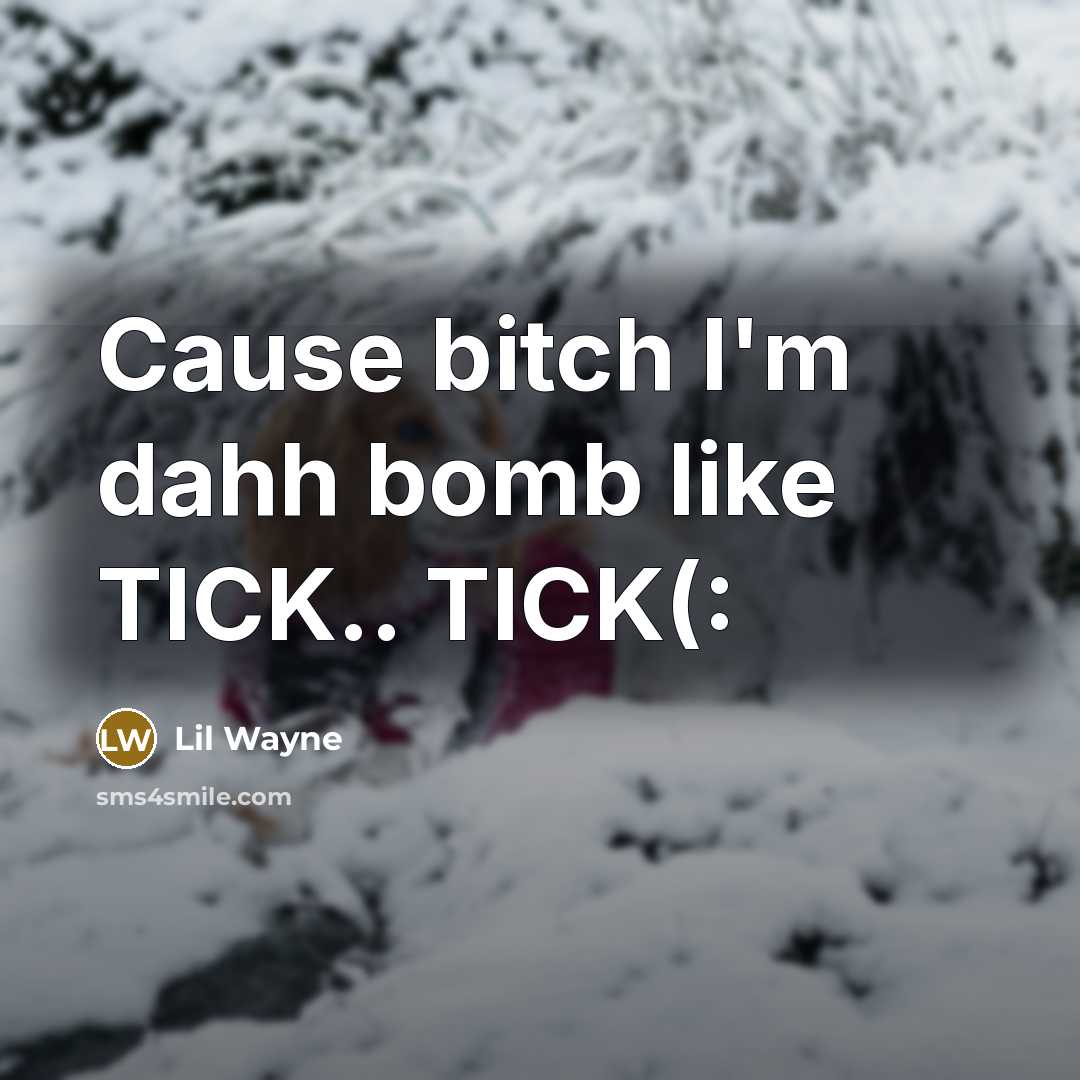 “Cause bitch I'm dahh bomb like TICK.. TICK(:…” quote by Lil Wayne