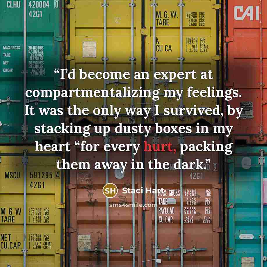 “I’d become an expert at compartmentalizing my feelings. It was the only way I survived, by stacking up dusty boxes in my heart “for every hurt, packing them away in the dark.” quote by Staci Hart