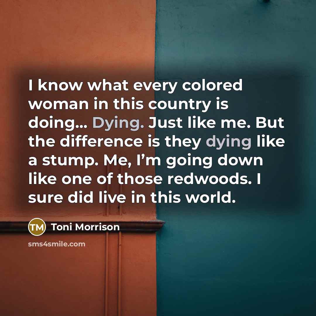 “I know what every colored woman in this country is…” quote by Toni Morrison