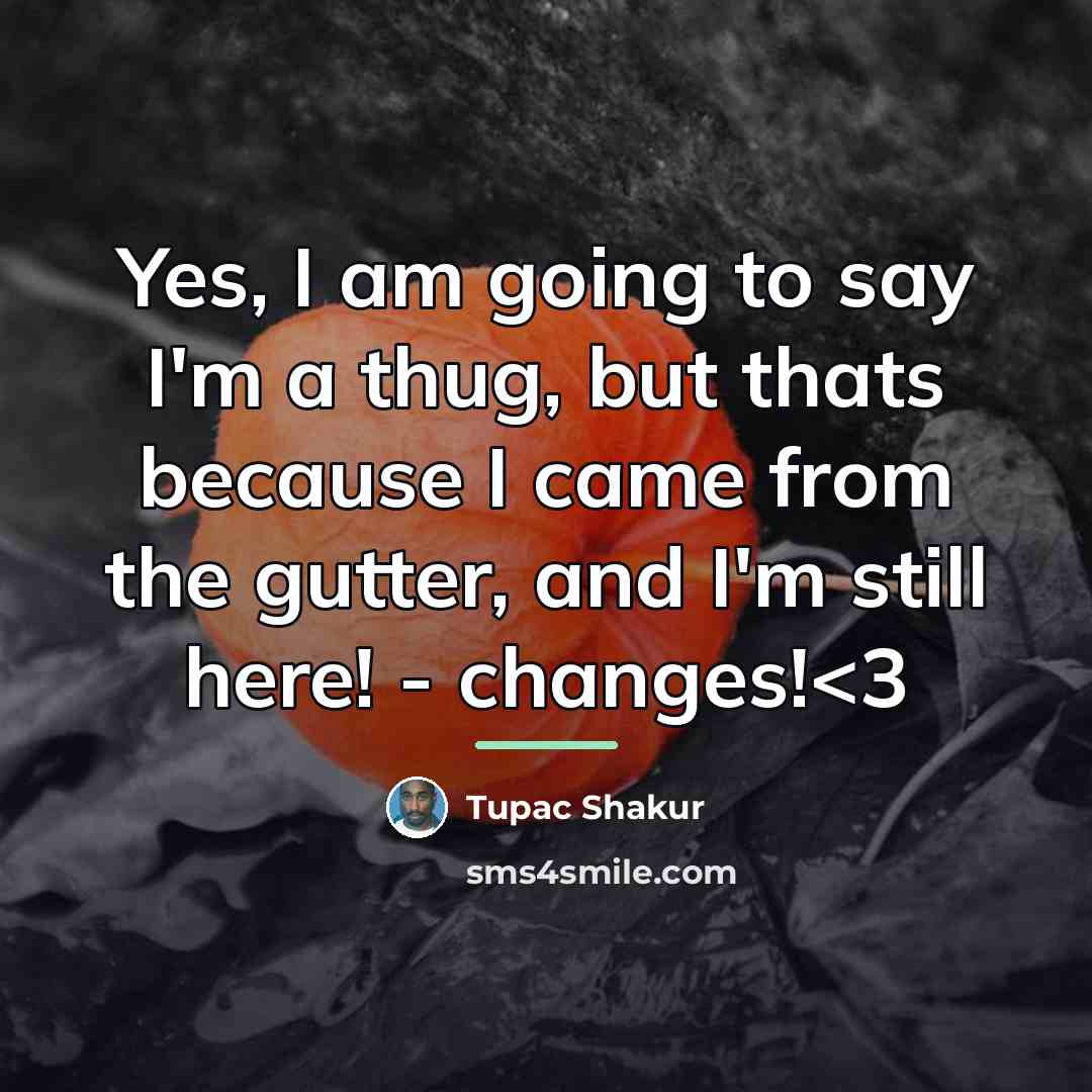 “Yes, I am going to say I'm a thug, but…” quote by Tupac Shakur