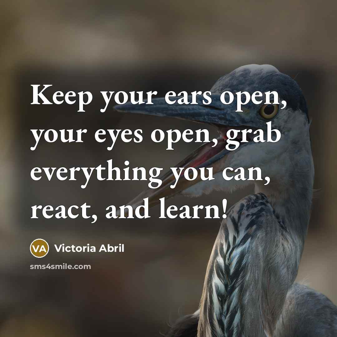 “Keep your ears open, your eyes open, grab everything you…” quote by Victoria Abril