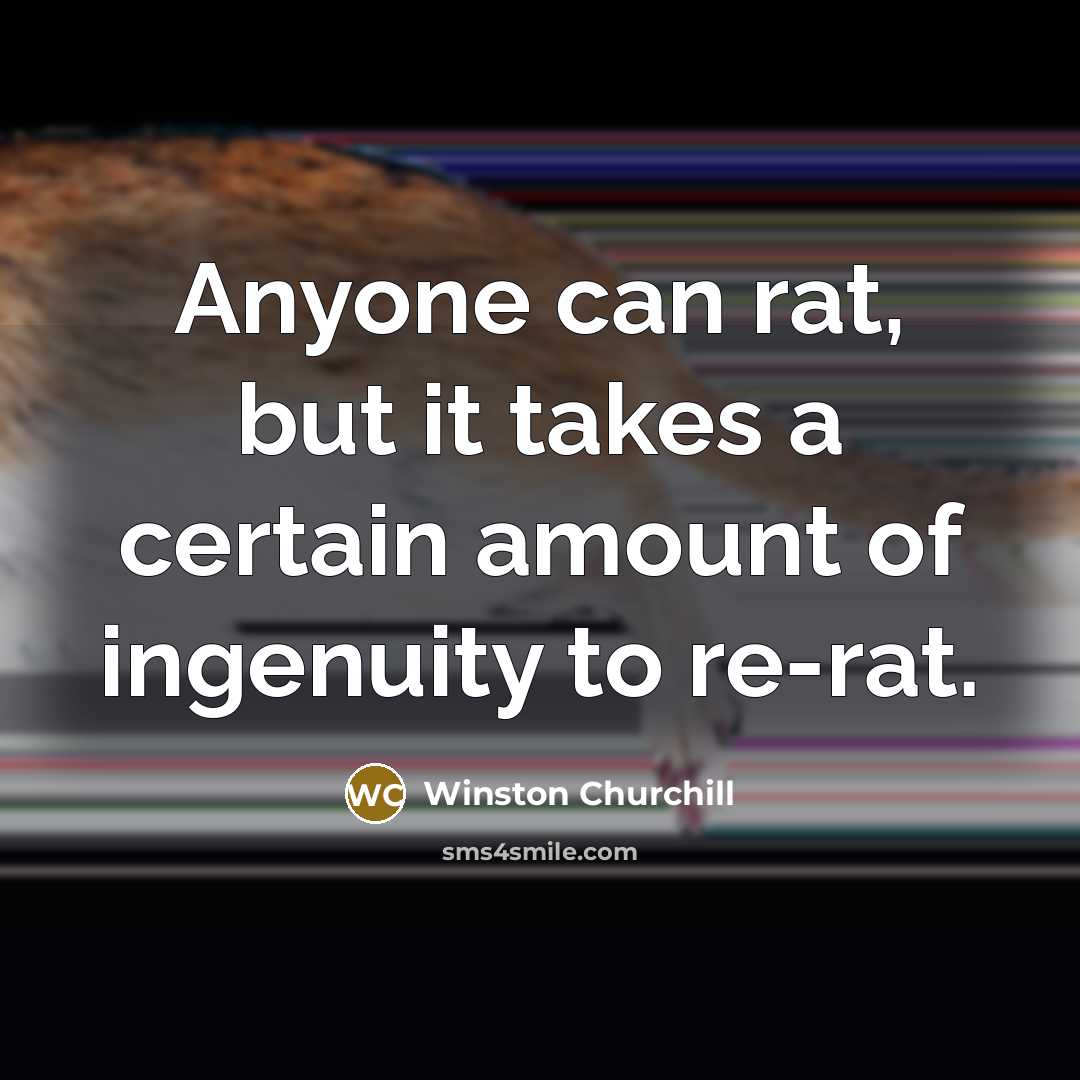 “Anyone can rat, but it takes a certain amount of…” quote by Winston Churchill