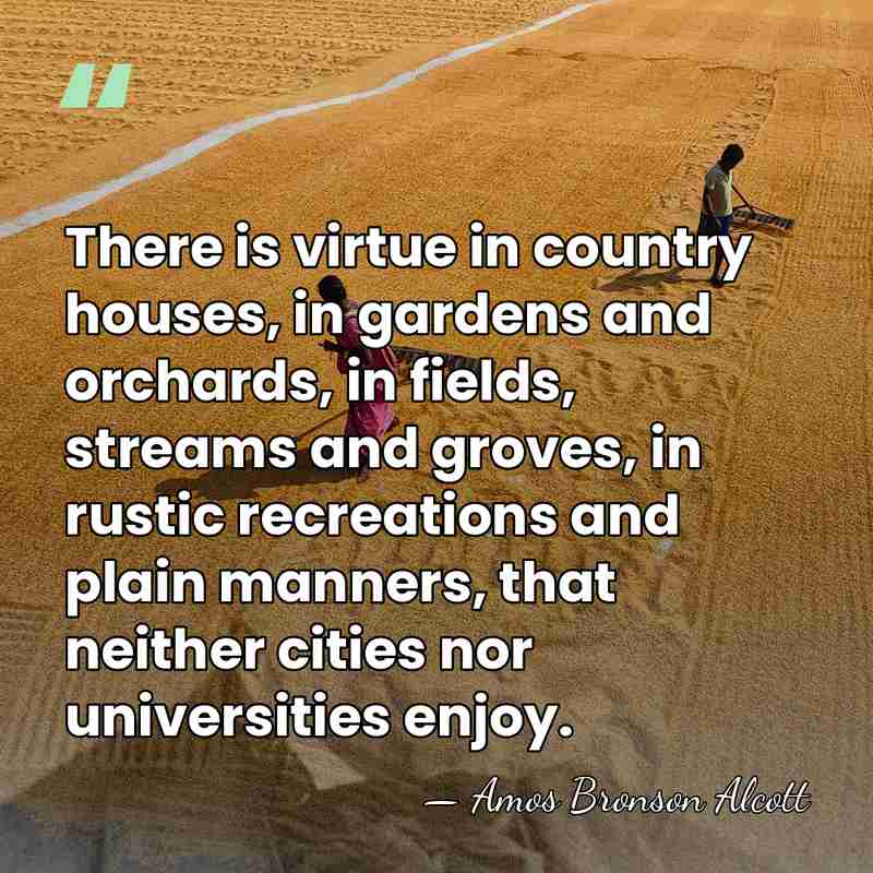 There is virtue in country houses, in gardens and orchards, in fields,&hellip; - Amos Bronson Alcott