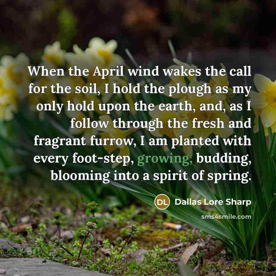 “When the April wind wakes the call for the soil, I hold the plough as my only hold upon the earth, and, as I follow through the fresh and fragrant furrow, I am planted with every foot-step, growing, budding, blooming into a spirit of spring.” quote by Dallas Lore Sharp