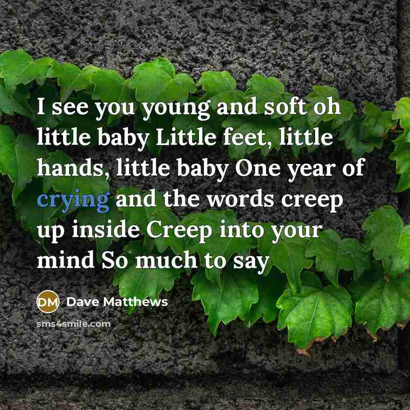 “I see you young and soft oh little baby Little…” quote by Dave Matthews