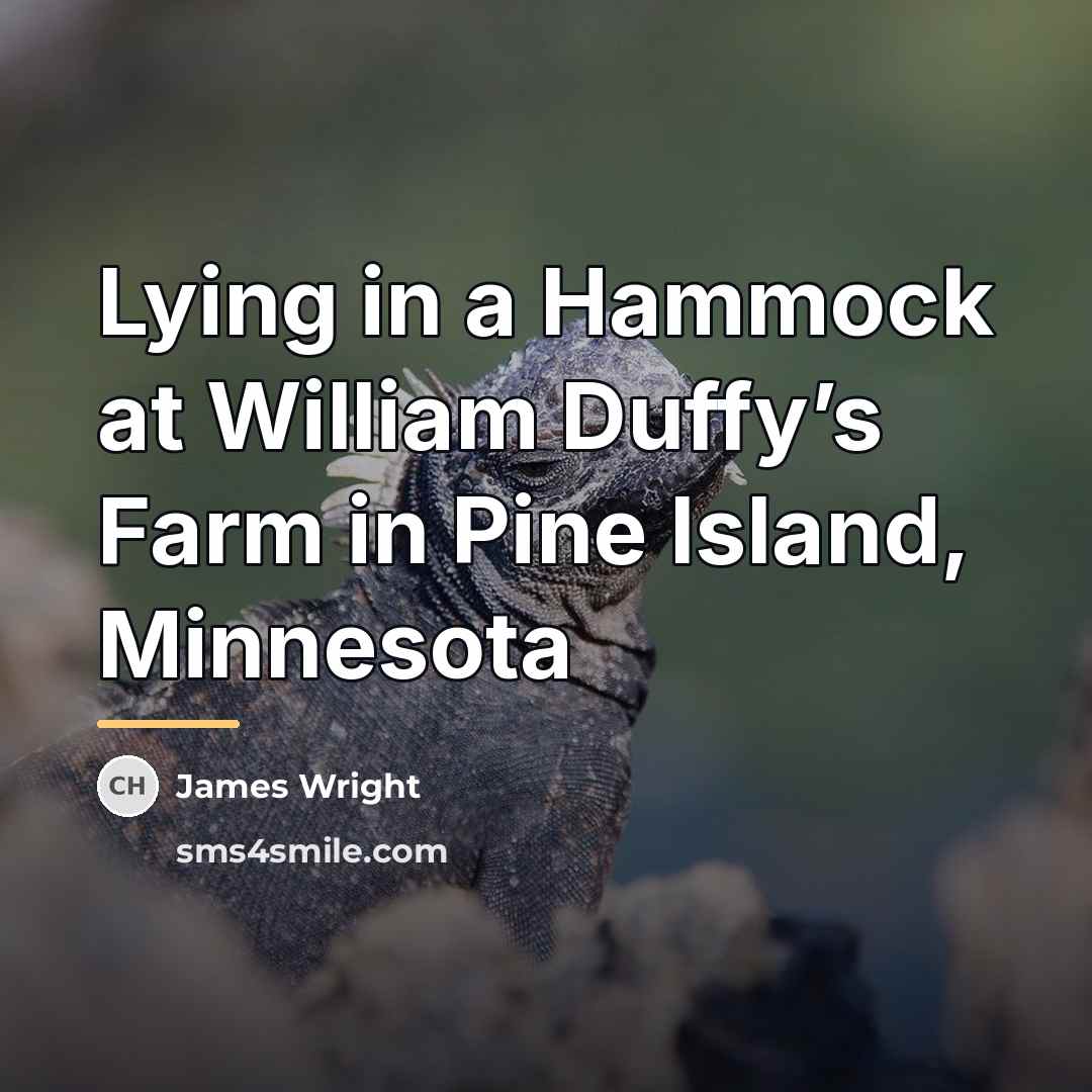 “Lying in a Hammock at William Duffy’s Farm in Pine…” quote by James Wright