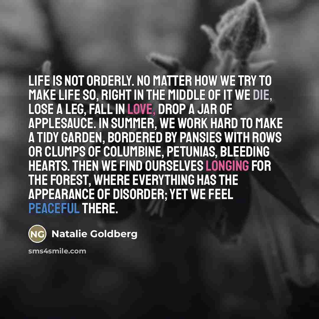 “Life is not orderly. No matter how we try to…” quote by Natalie Goldberg