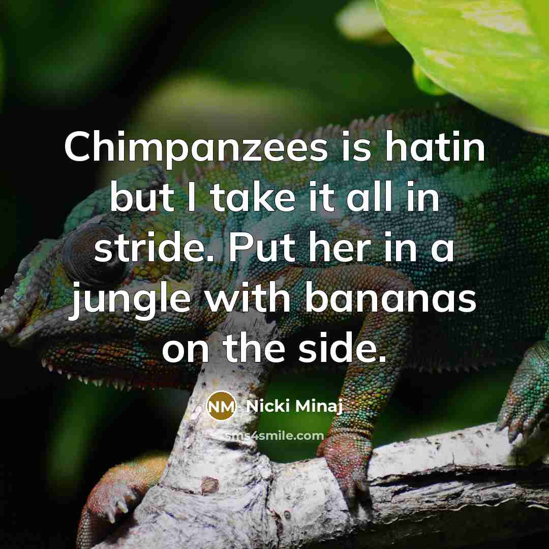“Chimpanzees is hatin but I take it all in stride.…” quote by Nicki Minaj