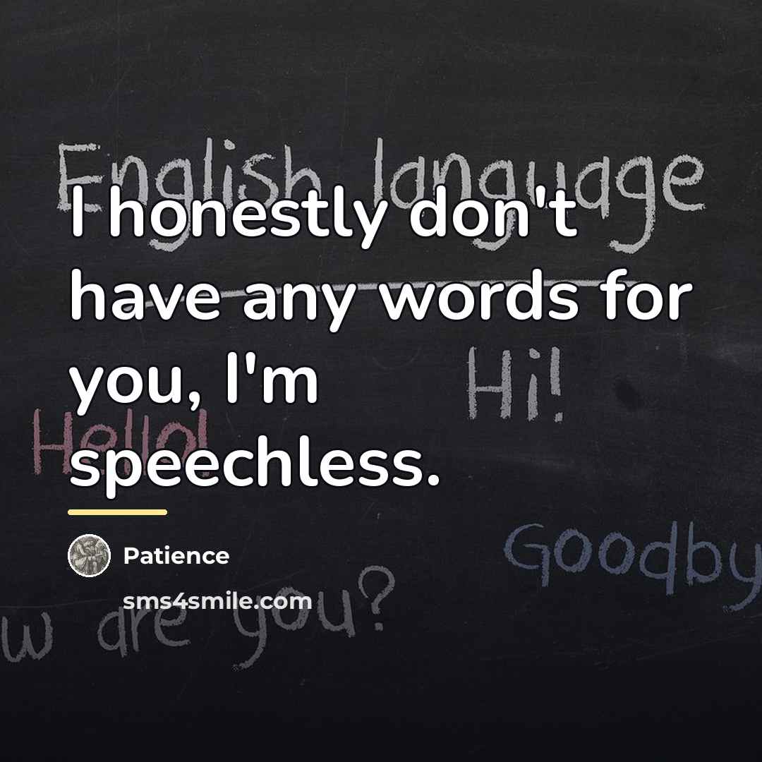 “I honestly don't have any words for you, I'm speechless.…” quote by Patience