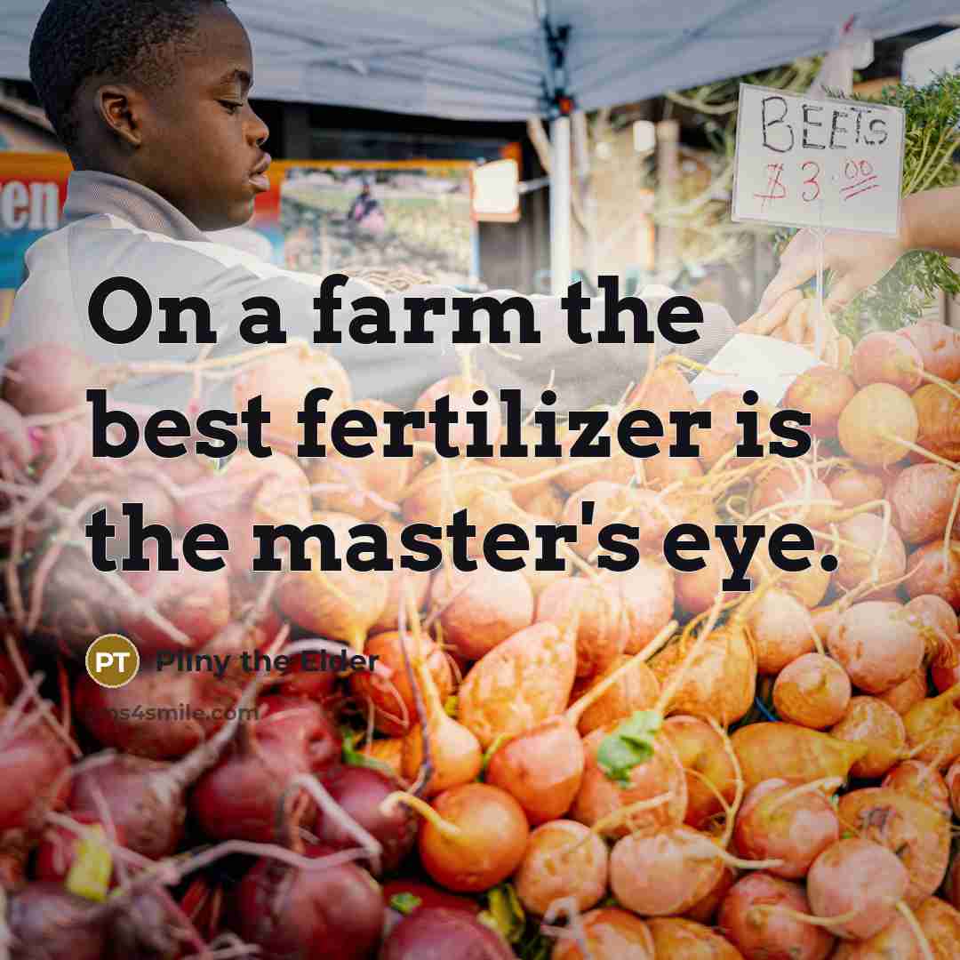 “On a farm the best fertilizer is the master's eye.…” quote by Pliny the Elder