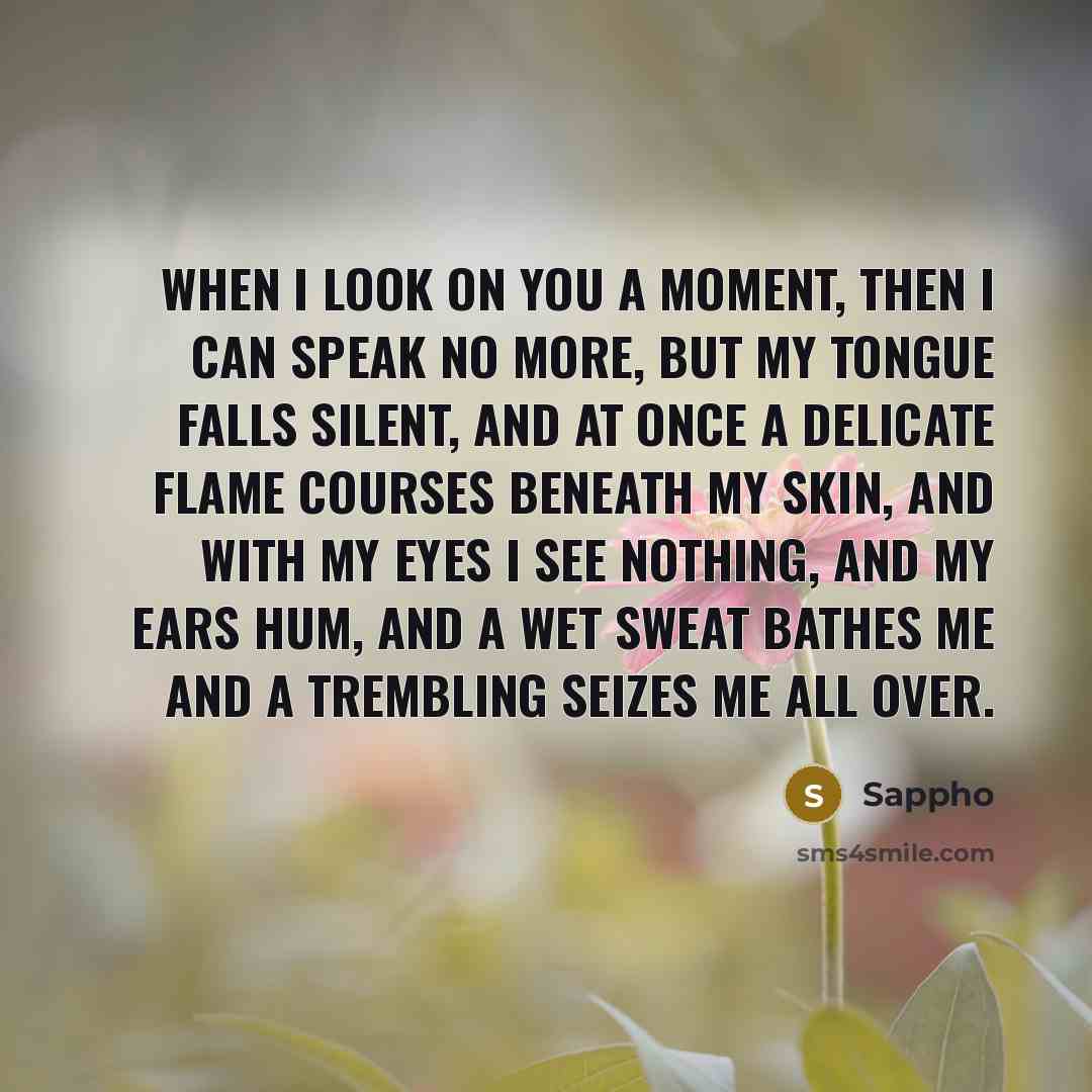 “When I look on you a moment, then I can…” quote by Sappho